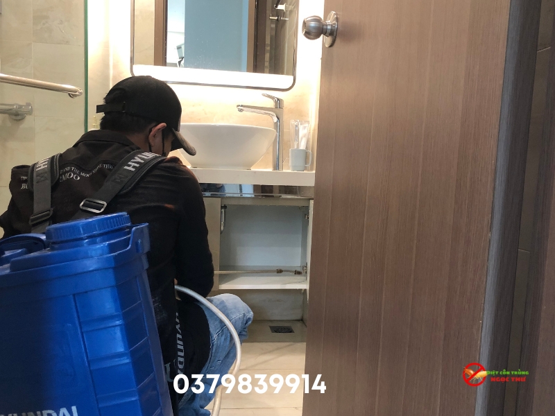 Xử dụng bình xịt diệt gián Mỹ