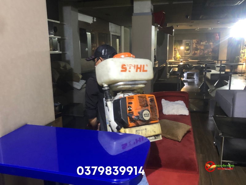 Dịch vụ diệt gián chuyên nghiệp của công ty diệt côn trùng Ngọc Thư