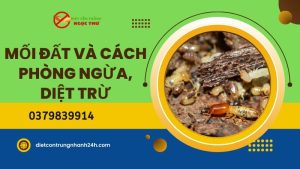 Mối đất và cách phòng ngừa, tiêu diệt
