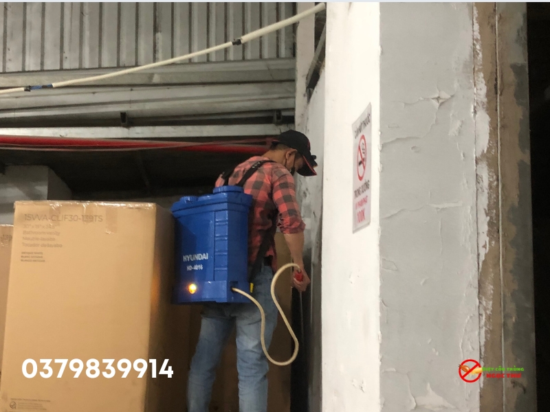 Mối Đất: Đặc Điểm Sinh Học, Tác Hại Và Cách Phòng Ngừa, Diệt Trừ Hiệu Quả 6 Dịch vụ diệt côn trùng Ngọc Thư, đơn vị xử lý mối đất hiệu quả tại TP. HCM