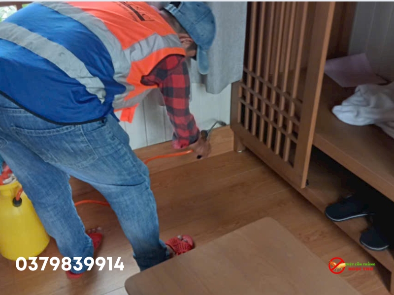 Mối Đất: Đặc Điểm Sinh Học, Tác Hại Và Cách Phòng Ngừa, Diệt Trừ Hiệu Quả 5 Cách diệt mối đất