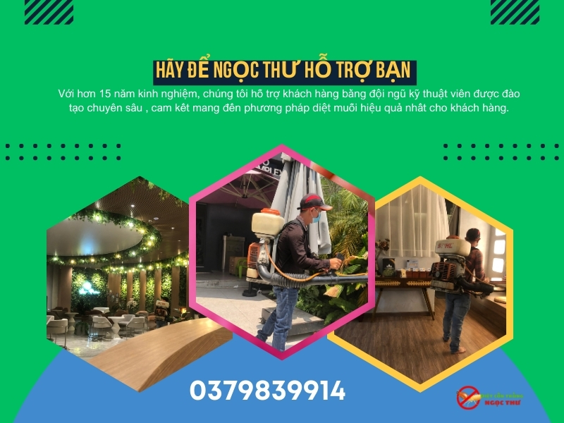 Dịch Vụ Phun Thuốc Diệt Muỗi Phường Sài Gòn, TP.HCM – Bảng Giá Tháng (08/2025) 2 Dịch vụ phun thuốc diệt muỗi tại phường Sài Gòn của diệt côn trùng Ngọc Thư