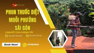 Dịch vụ phun thuốc diệt muỗi phường Sài Gòn