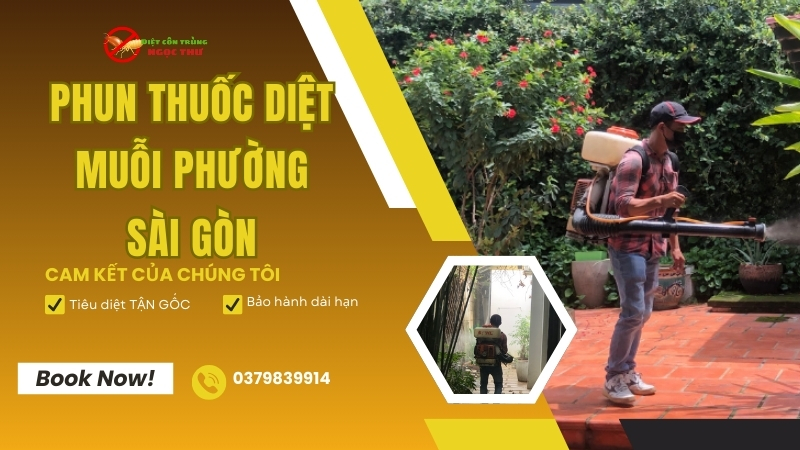 Dịch Vụ Phun Thuốc Diệt Muỗi Phường Sài Gòn, TP.HCM – Bảng Giá Tháng (08/2025) 1 Dịch vụ phun thuốc diệt muỗi phường Sài Gòn