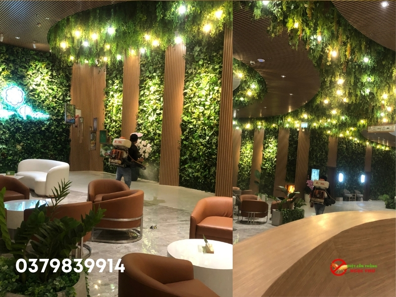 Dịch Vụ Phun Thuốc Diệt Muỗi Phường Sài Gòn, TP.HCM – Bảng Giá Tháng (08/2025) 3 Dịch vụ phun thuốc diệt muỗi tại phường Sài Gòn, dịch vụ diệt muỗi chuyên nghiệp Ngọc Thư