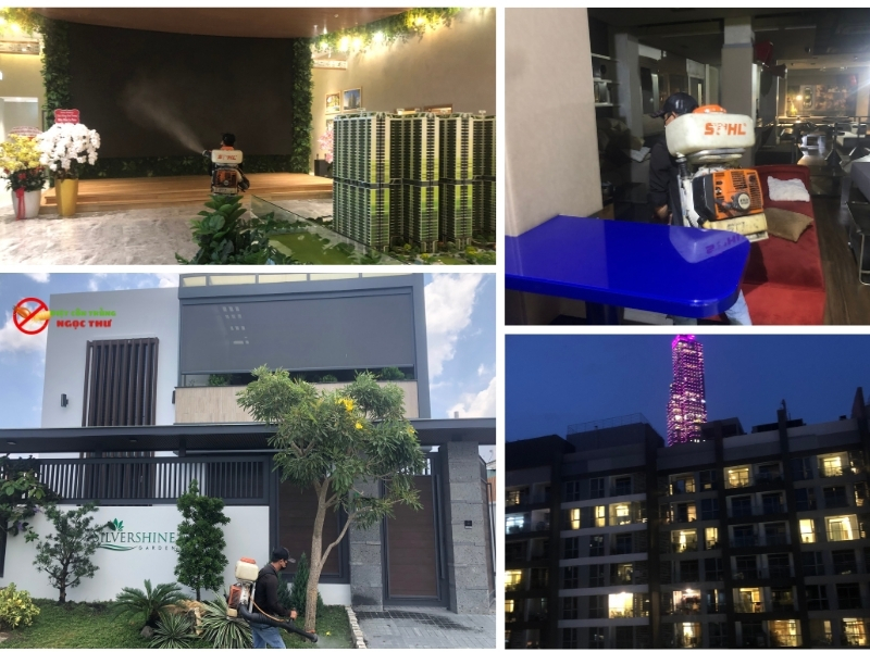 Dịch vụ phun thuốc diệt muỗi tận gốc tại TPHCM, cam kết diệt muỗi tận gốc