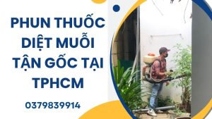 Phun thuốc diệt muỗi tận gốc tại TPHCM