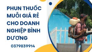 Dịch vụ phun thuốc muỗi giá rẻ cho doanh nghiệp Bình Dương