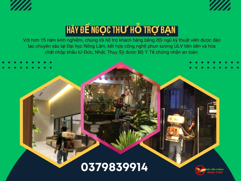 Dịch vụ phun thuốc diệt muỗi tận gốc tại TPHCM, an toàn, hiệu quả, giá cả cạnh tranh