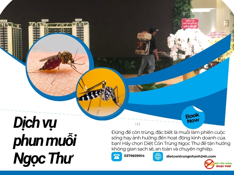 Dịch vụ phun thuốc diệt muỗi tận gốc tại TPHCM, cam kết diệt muỗi tận gốc, bảo hành dài hạn