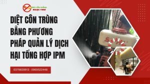 Diệt Côn Trùng Bằng Phương Pháp Quản Lý Dịch Hại Tổng Hợp IPM