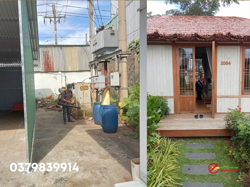 Quản lý dịch hại tổng hợp IPM từ công ty diệt côn trùng Ngọc Thư