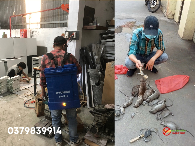 Kiểm soát sinh học IPM trong diệt côn trùng của Ngọc Thư
