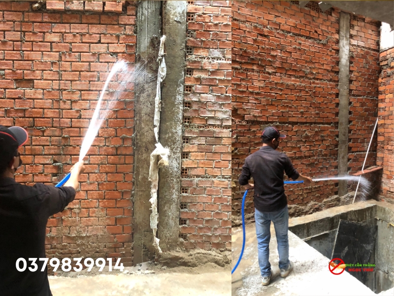 Phương pháp IPM trong phòng chống mối cho công trình