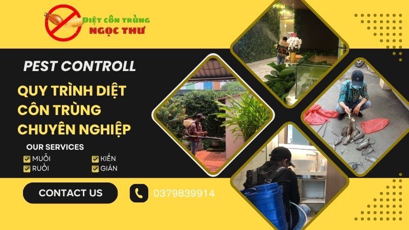 Quy trình diệt côn trùng chuyên nghiệp của công ty diệt côn trùng Ngọc Thư