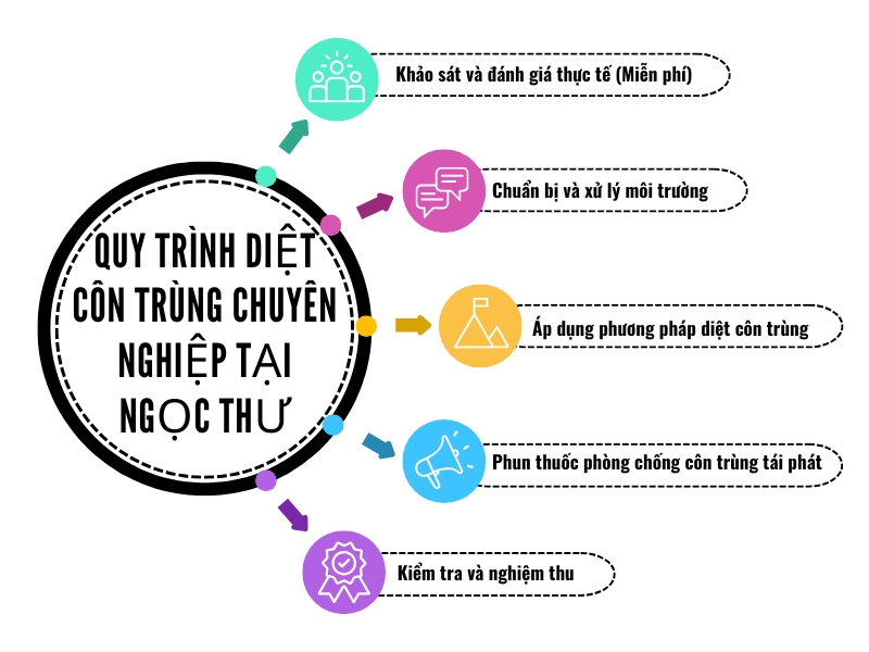 Quy trình diệt côn trùng chuyên nghiệp của Ngọc Thư