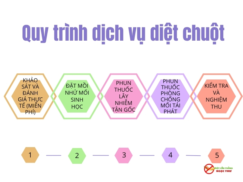 Quy trình diệt mối chuyên nghiệp, Công ty diệt mối số 1 TPHCM 2 Quy trình diệt mối chuyên nghiệp từ Ngọc Thư