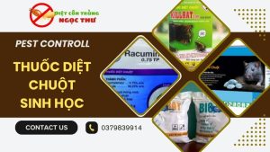7 loại thuốc diệt chuột sinh học hiệu quả cao, an toàn
