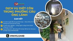 Dịch vụ diệt côn trùng của Ngọc Thư tại Phường Cầu Ông Lãnh
