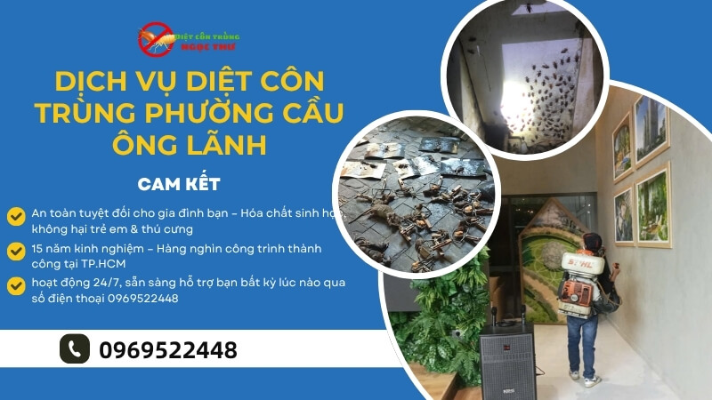 Dịch vụ diệt côn trùng của Ngọc Thư tại Phường Cầu Ông Lãnh