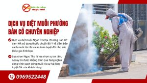 Dịch vụ diệt muỗi phường Bàn Cờ, chuyên nghiệp, an toàn, không mùi