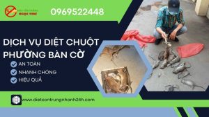 Dịch vụ diệt chuột phường Bàn Cờ, diệt côn trùng Ngọc Thư