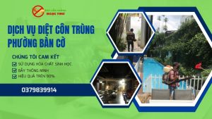 Dịch vụ diệt côn trùng phường Bàn Cờ - Diệt côn trùng Ngọc Thư