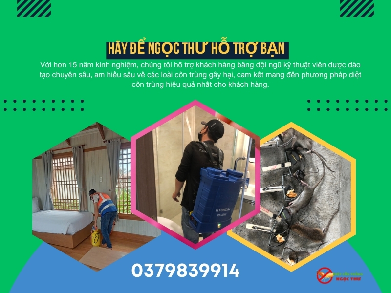 Dịch vụ diệt côn trùng phường Bàn Cờ của Ngọc Thư, đội ngũ diệt côn trùng chuyên môn cao, phục vụ tận tâm