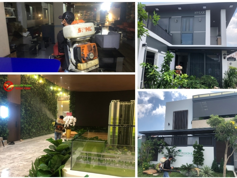 Dịch vụ diệt côn trùng phường bến thành giá rẻ