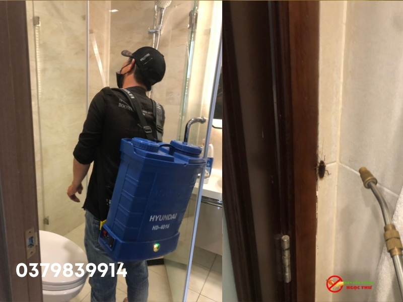 Dịch vụ diệt côn trùng phường bến thành, dịch vụ diệt gián chuyên nghiệp