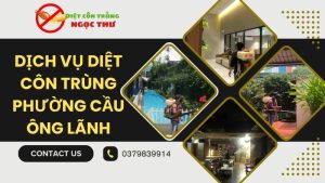 Dịch vụ diệt côn trung phường Cầu Ông Lãnh