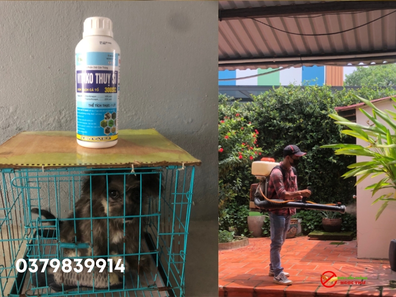 dịch vụ diệt côn trùng phường cầu ông lãnh, diệt côn trùng Ngọc Thư