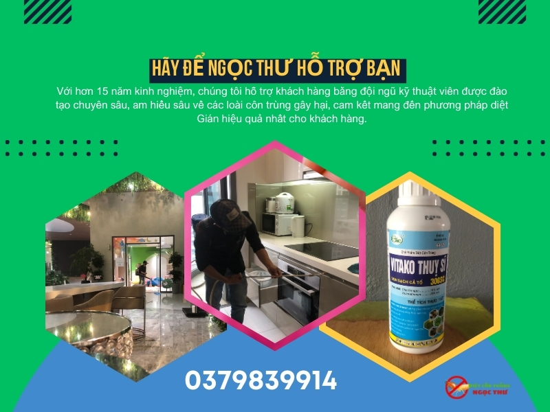 Dịch vụ diệt gián phường bàn cờ, diệt sạch gián chỉ trong 1-2 lần xử lý
