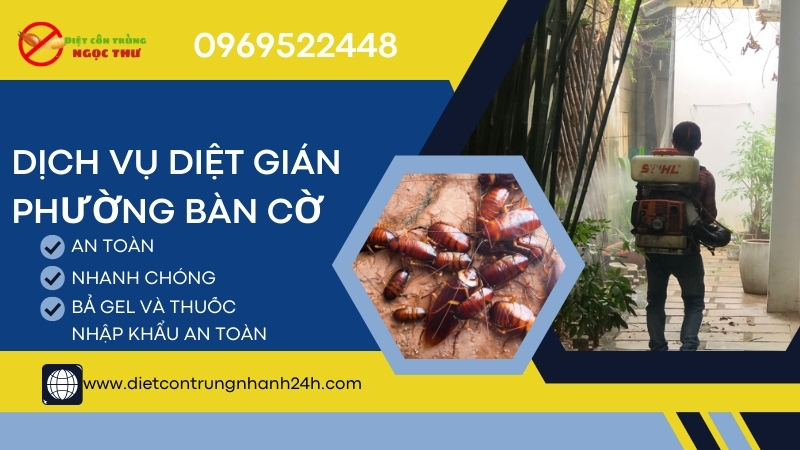 Dịch vụ diệt gián phường bàn cờ, diệt tận gốc gián chỉ trong 7 ngày