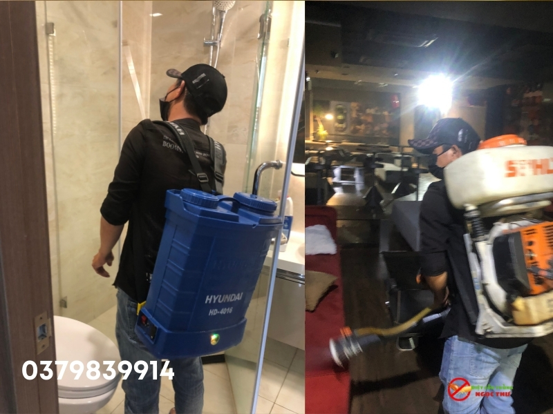 Dịch vụ diệt gián phường bàn cờ, hóa chất an toàn, bảo hành rõ ràng, giá cả minh bạch