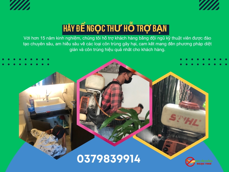 Dịch vụ diệt gián phường Bến Thành, an toàn, hiệu quả