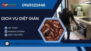 Dịch vụ diệt gián phường Bến Thành - diệt côn trùng Ngọc Thư