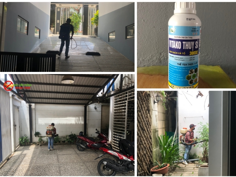 Dịch vụ diệt gián phường Cầu Ông Lãnh của công ty diệt côn trùng Ngọc Thư