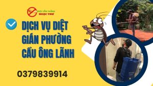 Dịch vụ diệt gián phường Cầu Ông Lãnh
