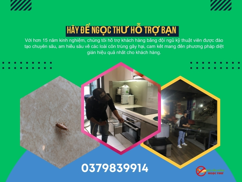 Quy trình Dịch vụ diệt gián phường Cầu Ông Lãnh của công ty diệt côn trùng Ngọc Thư