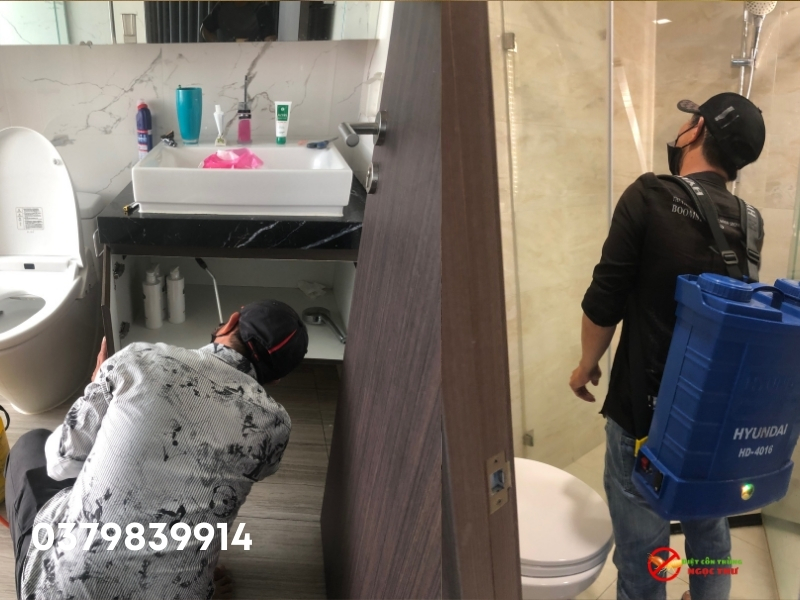 Công ty Dịch vụ diệt gián phường Cầu Ông Lãnh của công ty diệt côn trùng Ngọc Thư