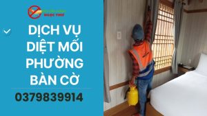 Dịch vụ diệt mối phường Bàn Cờ, diệt côn trùng Ngọc Thư