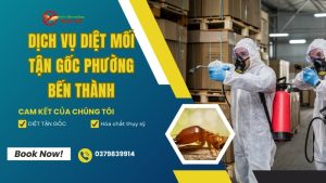 Dịch vụ diệt mối phường Bến Thành