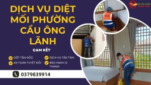 Dịch vụ diệt Mối Phường Cầu Ông Lãnh, diệt côn trùng Ngọc Thư