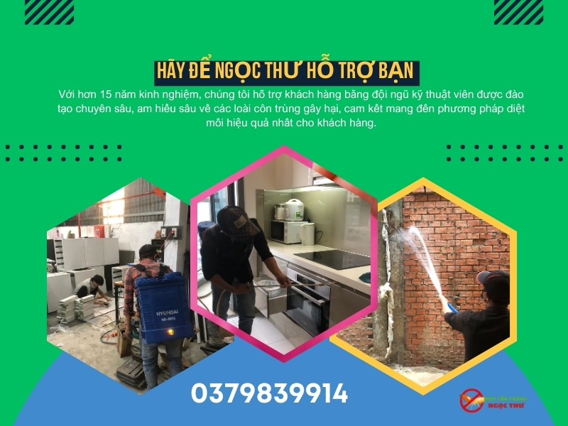 Hãy để ngọc thư hỗ trợ bạn diệt mối tận gốc