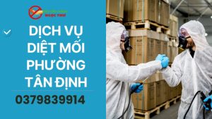 Dịch vụ diệt mối phường Tân Định