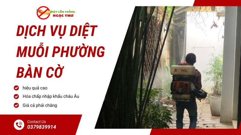 Dịch vụ diệt muỗi phường bàn cờ - diệt côn trùng Ngọc Thư