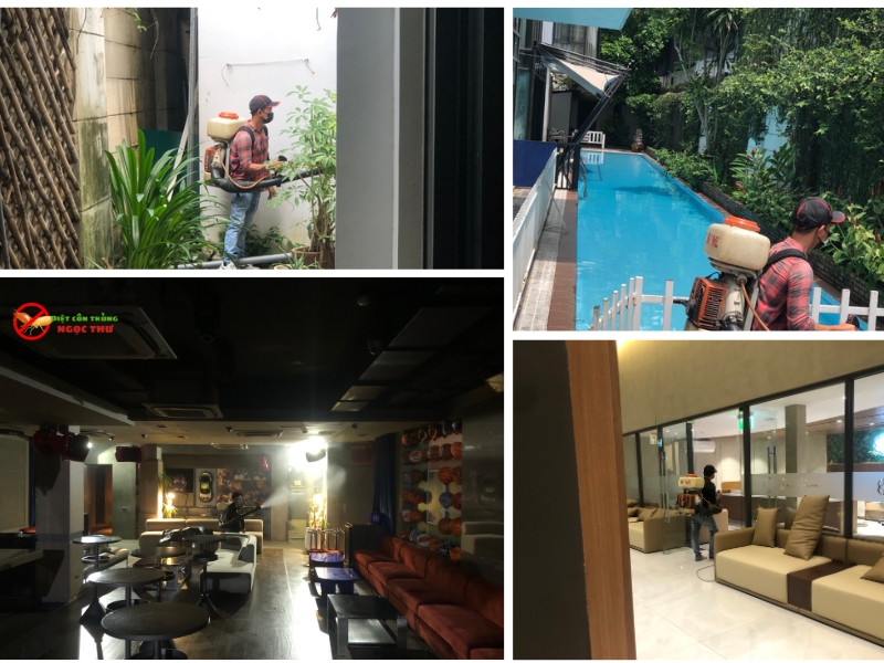 Dịch vụ diệt muỗi phường Bến Thành của Ngọc Thư