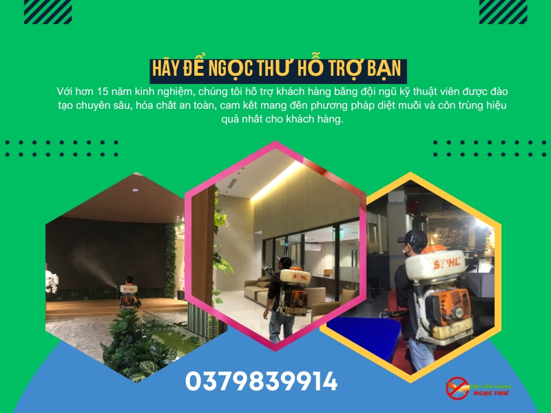 Dịch vụ diệt muỗi phường Bến Thành của Ngọc Thư, cam kết mang đến phương pháp hiệu quả nhất