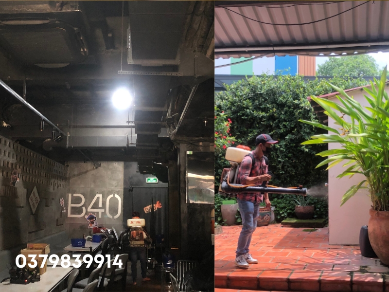 Dịch vụ diệt muỗi phường Bến Thành của Ngọc Thư, sử dụng hóa chất an toàn